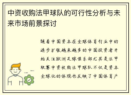 中资收购法甲球队的可行性分析与未来市场前景探讨