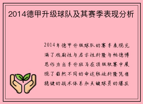 2014德甲升级球队及其赛季表现分析