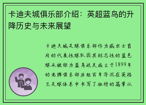 卡迪夫城俱乐部介绍：英超蓝鸟的升降历史与未来展望